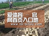 种植基地七(图1)