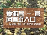 种植基地七