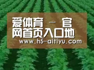 种植基地六(图1)