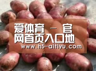 产品展示标题5