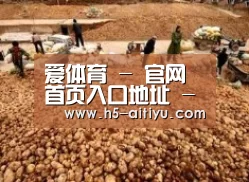 种植基地二