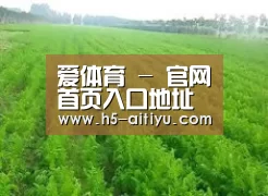 种植基地四