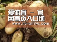 产品展示标题2