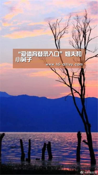 爱体育登录入口