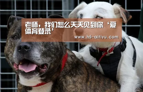 老师,我们怎么天天见到你‘爱体育登录’(图4) 爱体育登录