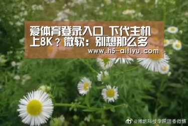 爱体育登录入口_下代主机上8K?微软:别想那么多 4K就行(图1) 爱体育登录入口